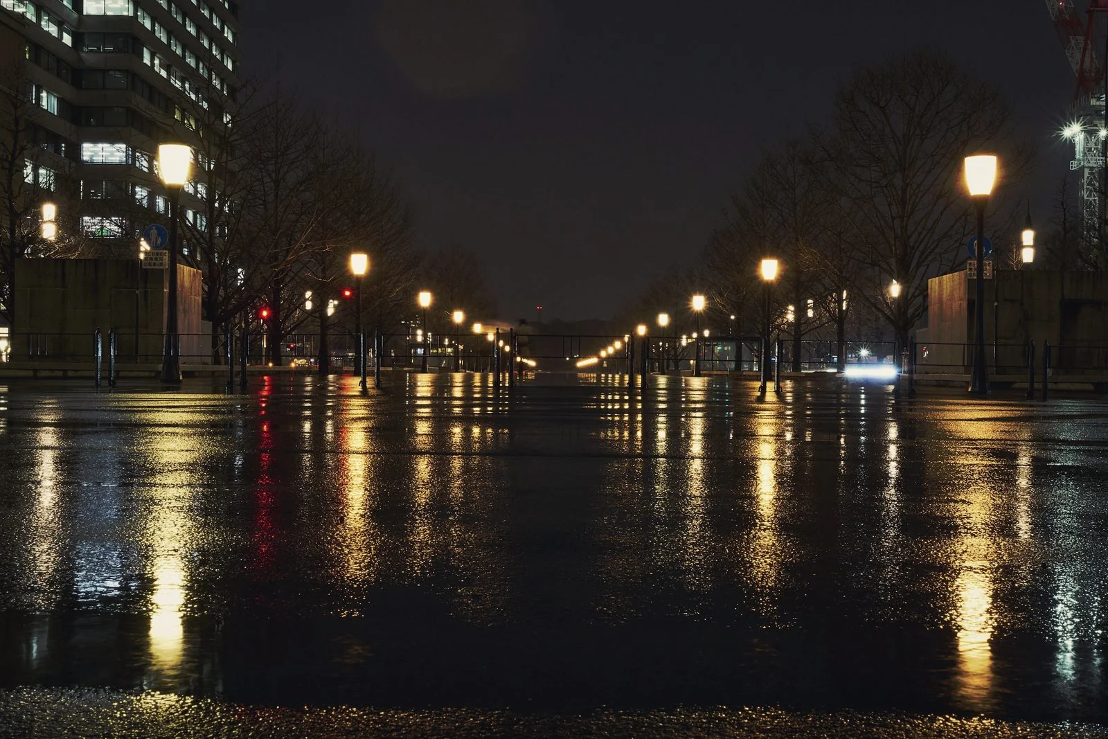 A business district street at night, wet, under lamps.